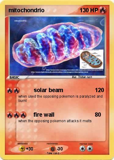 Pokemon mitochondrio