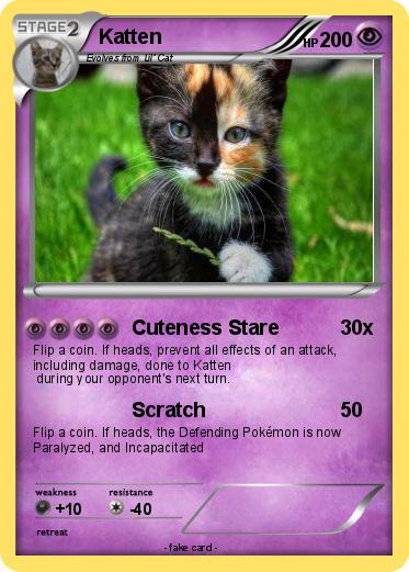 Pokemon Katten