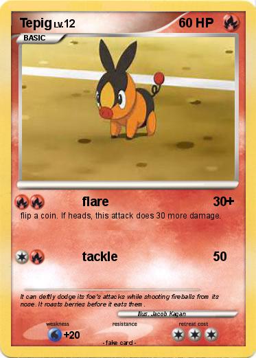 Pokemon Tepig