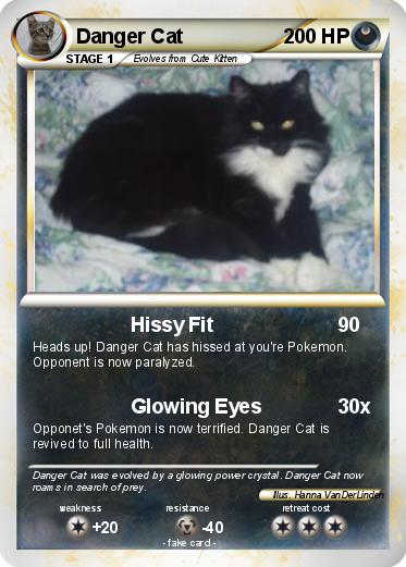 Pokemon Danger Cat