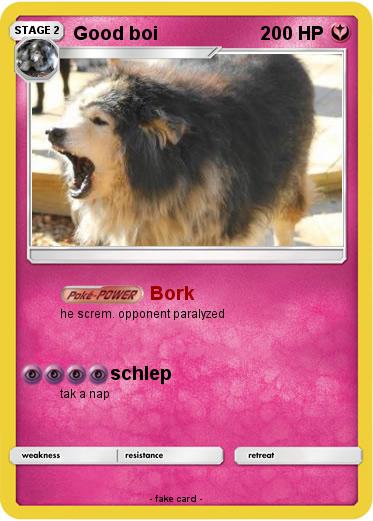 Pokemon Good boi