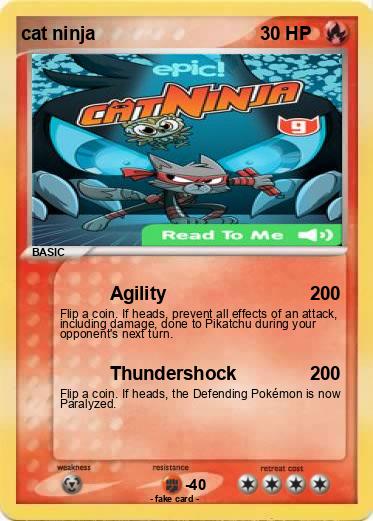 Pokemon cat ninja