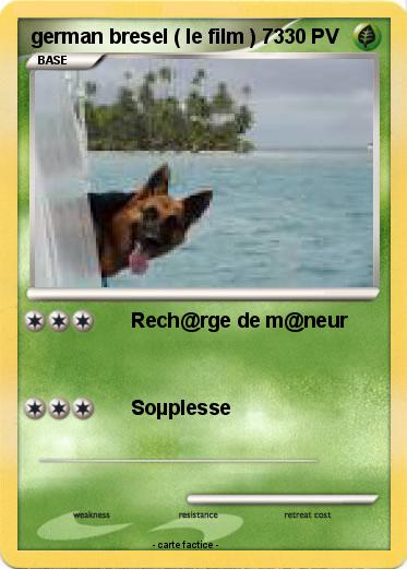 Pokemon german bresel ( le film ) 73