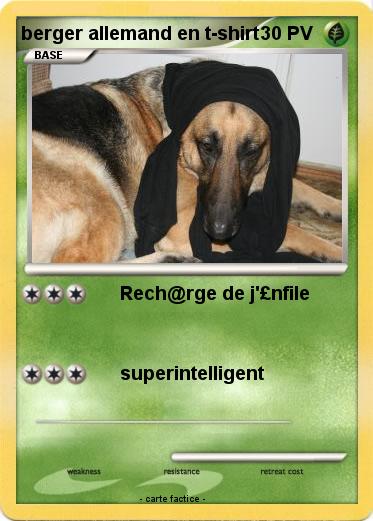Pokemon berger allemand en t-shirt