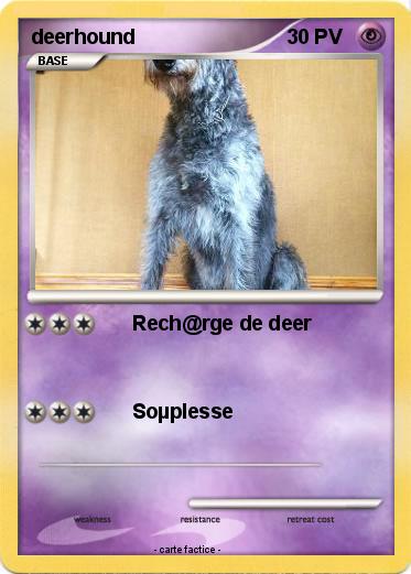 Pokemon deerhound
