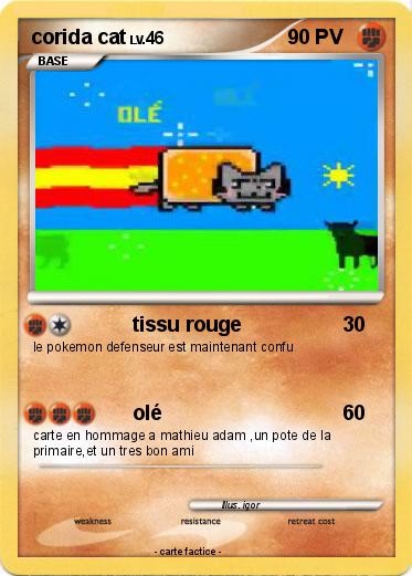 Pokemon corida cat