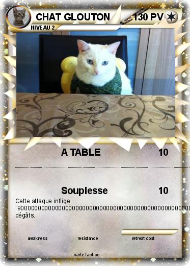 Pokemon CHAT GLOUTON