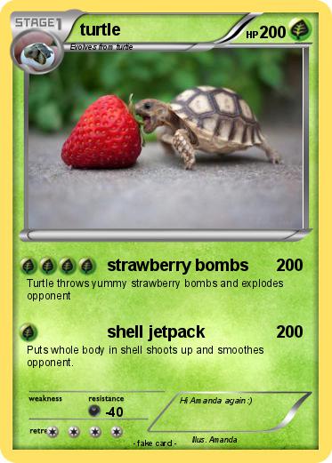 Pokemon turtle