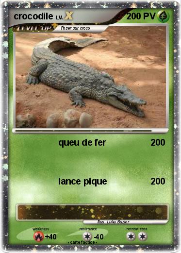 Pokemon crocodile