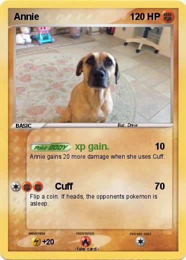 Pokemon Annie