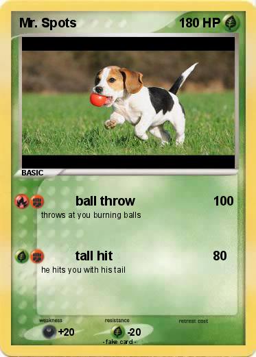 Pokemon Mr. Spots