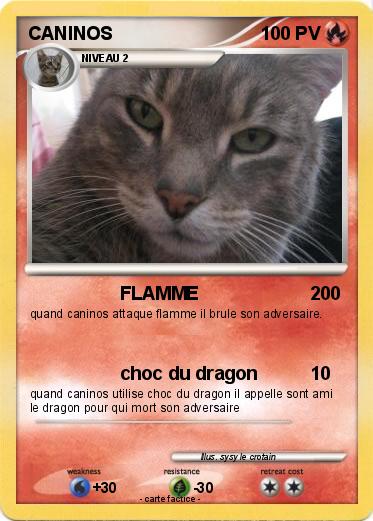 Pokemon CANINOS