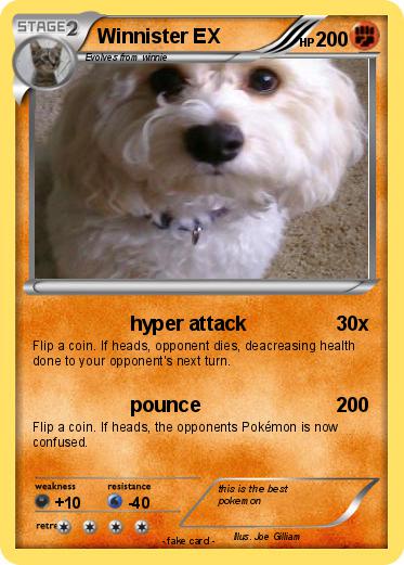 Pokemon Winnister EX