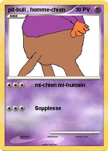 Pokemon pit-bull , homme-chien
