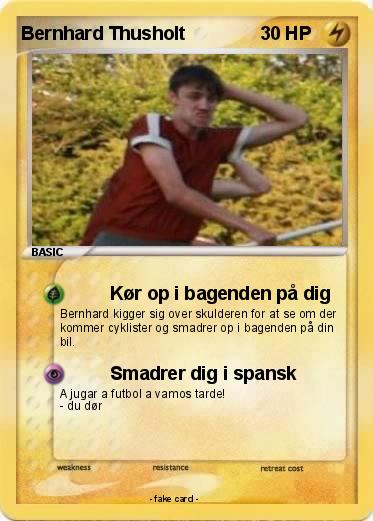 Pokemon Bernhard Thusholt