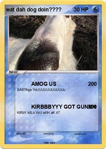 Pokemon wat dah dog doin????