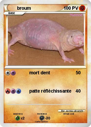 Pokemon broum