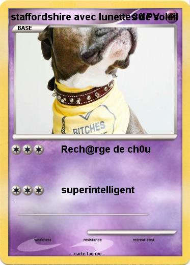 Pokemon staffordshire avec lunettes de soleil