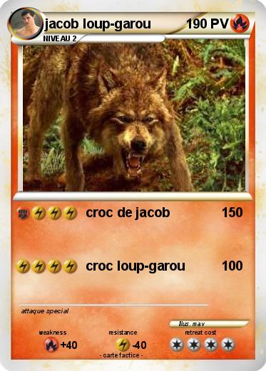 Pokemon jacob loup-garou