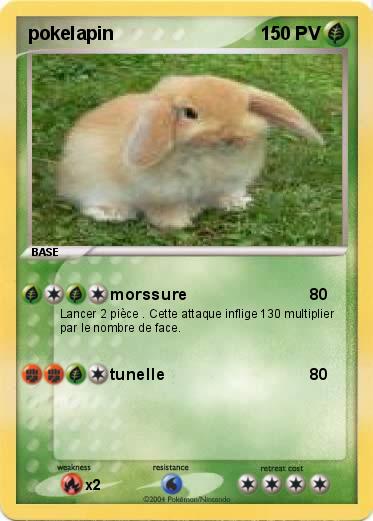 Pokemon pokelapin