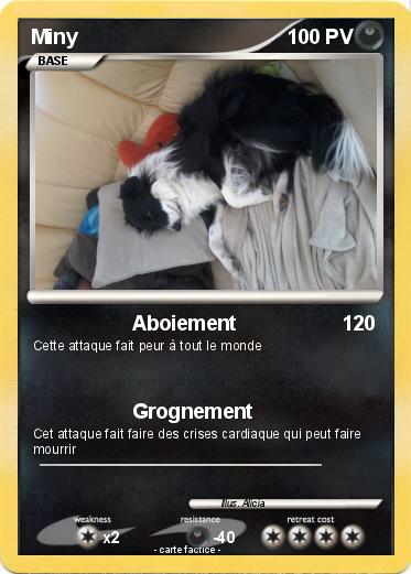 Pokemon Miny