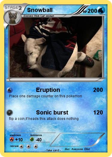 Pokemon Snowball