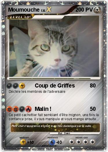 Pokemon Moumouche