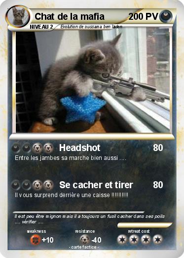 Pokemon Chat de la mafia