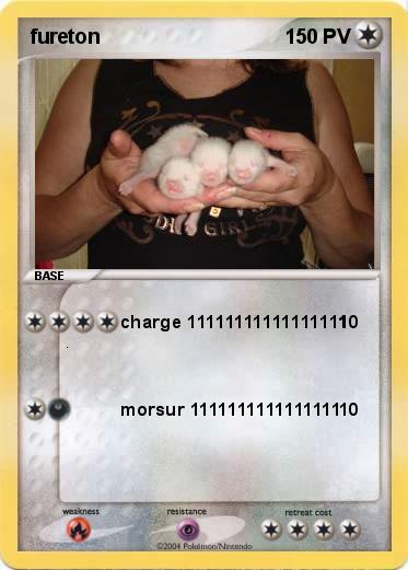 Pokemon fureton