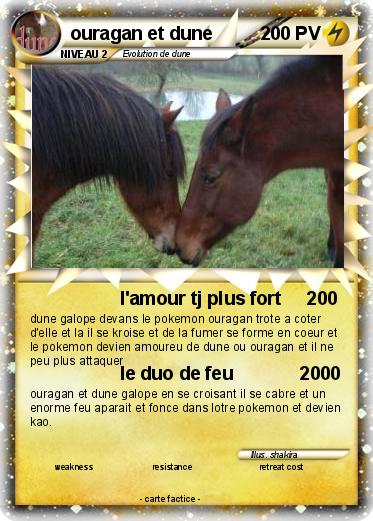 Pokemon ouragan et dune
