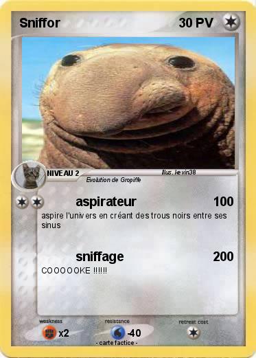 Pokemon Sniffor