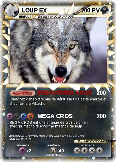 Pokemon LOUP EX