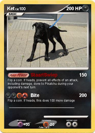 Pokemon Ket