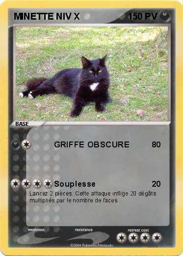 Pokemon MINETTE NIV X