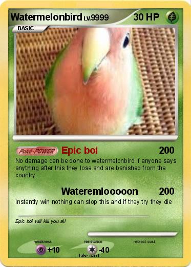 Pokemon Watermelonbird