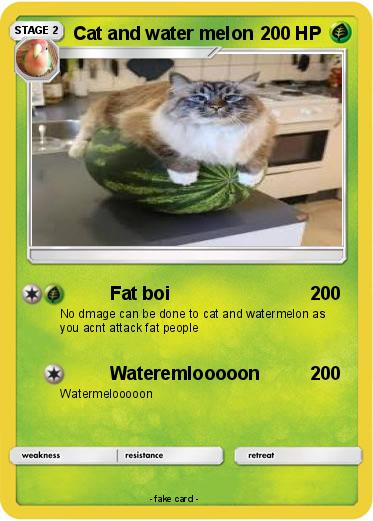 Pokemon Cat and water melon