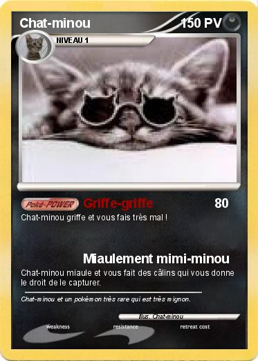 Pokemon Chat-minou
