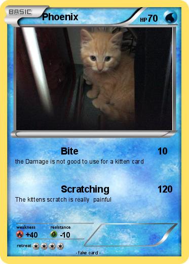Pokemon Phoenix