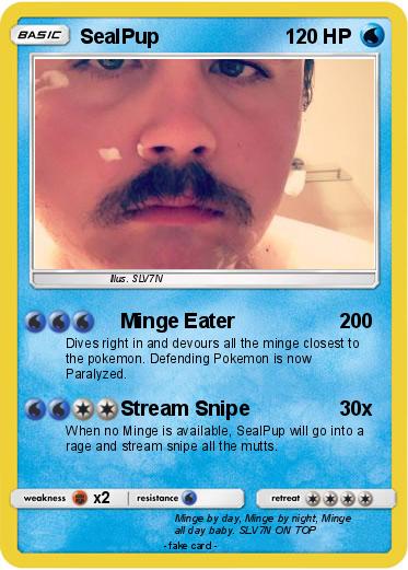 Pokemon SealPup