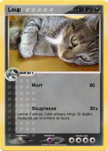 Pokemon Loup