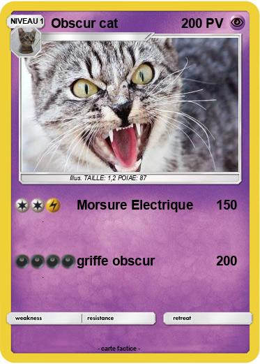 Pokemon Obscur cat