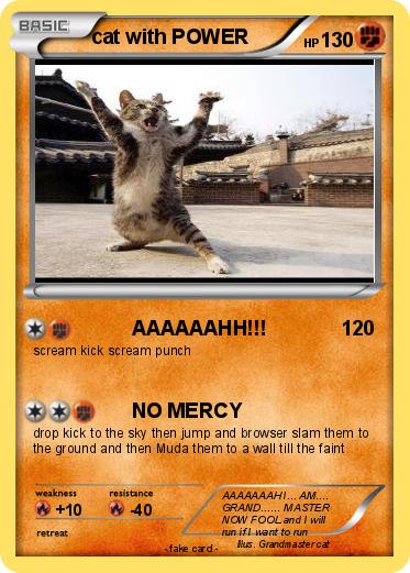 Pokemon cat with POWER