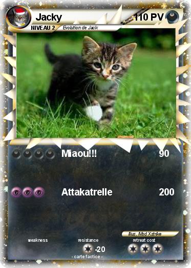 Pokemon Jacky
