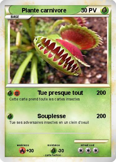 Pokemon Plante carnivore