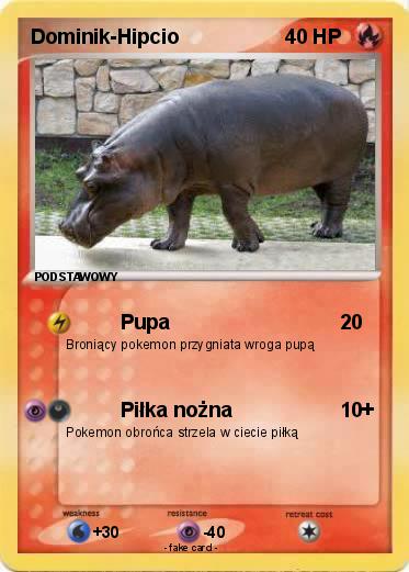 Pokemon Dominik-Hipcio