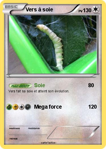 Pokemon Vers à soie