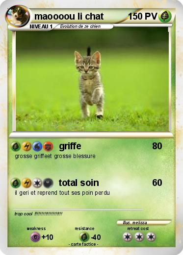 Pokemon maoooou li chat