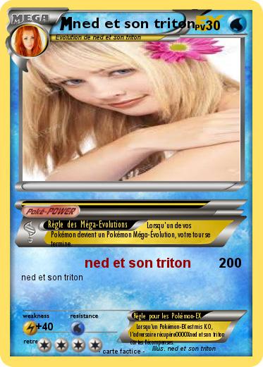 Pokemon ned et son triton