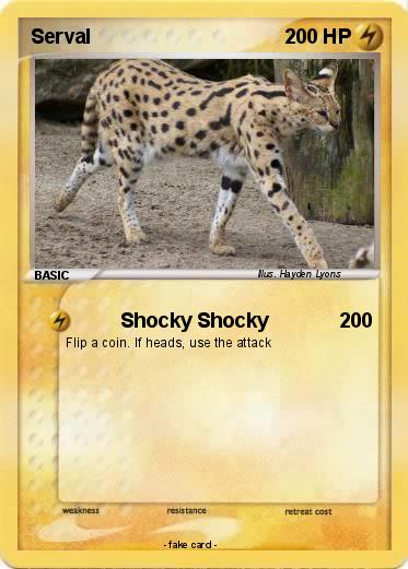 Pokemon Serval