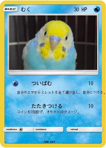 Pokemon むく